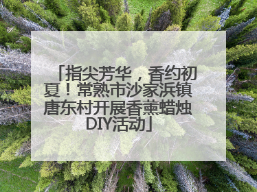指尖芳华，香约初夏！常熟市沙家浜镇唐东村开展香薰蜡烛DIY活动
