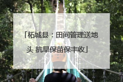柘城县：田间管理送地头 抗旱保苗保丰收