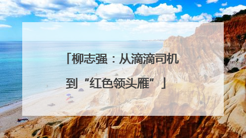 柳志强：从滴滴司机到“红色领头雁”