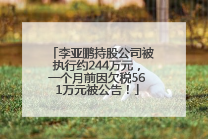 李亚鹏持股公司被执行约244万元，一个月前因欠税561万元被公告！