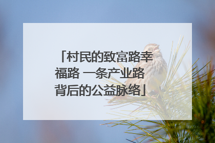 村民的致富路幸福路 一条产业路背后的公益脉络