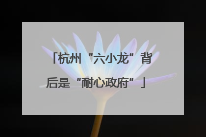 杭州“六小龙”背后是“耐心政府”
