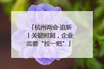 杭州两会·追新丨关键时刻，企业需要“拉一把”