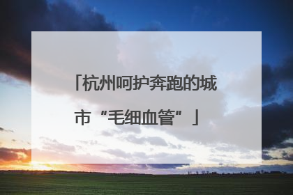 杭州呵护奔跑的城市“毛细血管”