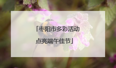 枣阳市多彩活动点亮端午佳节