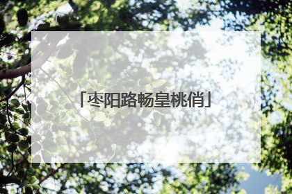 枣阳路畅皇桃俏