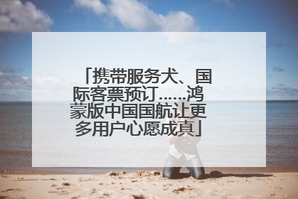 携带服务犬、国际客票预订……鸿蒙版中国国航让更多用户心愿成真