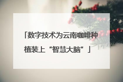 数字技术为云南咖啡种植装上“智慧大脑”