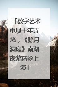 数字艺术重现千年诗境，《赊月洞庭》南湖夜游精彩上演
