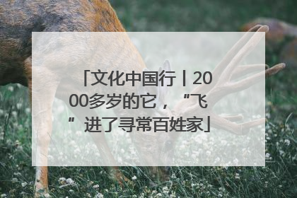 文化中国行丨2000多岁的它，“飞”进了寻常百姓家