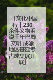 文化中国行｜230余件文物诉说千年巴蜀文明 成渝地区基建考古成果展开展