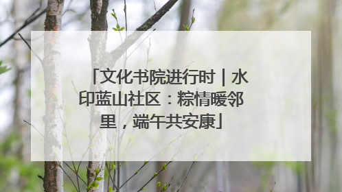 文化书院进行时｜水印蓝山社区：粽情暖邻里，端午共安康