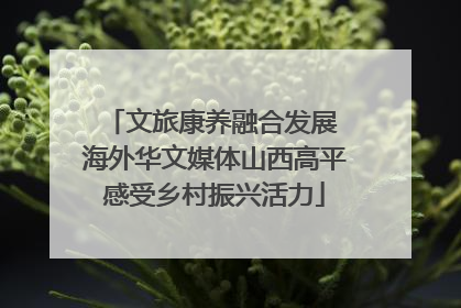 文旅康养融合发展 海外华文媒体山西高平感受乡村振兴活力
