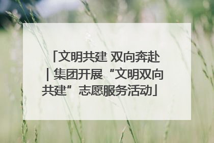 文明共建 双向奔赴｜集团开展“文明双向共建”志愿服务活动