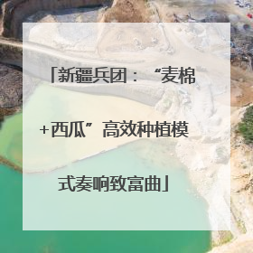 新疆兵团：“麦棉+西瓜”高效种植模式奏响致富曲