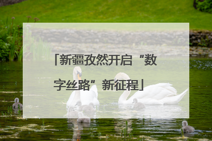 新疆孜然开启“数字丝路”新征程