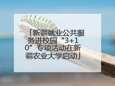 新疆就业公共服务进校园“3+10”专项活动在新疆农业大学启动