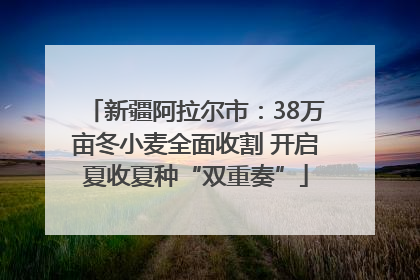 新疆阿拉尔市：38万亩冬小麦全面收割 开启夏收夏种“双重奏”