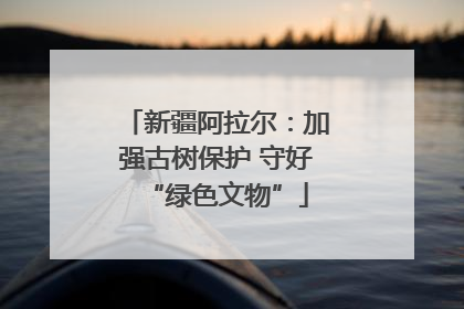 新疆阿拉尔：加强古树保护 守好“绿色文物”