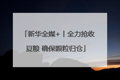 新华全媒+丨全力抢收夏粮 确保颗粒归仓