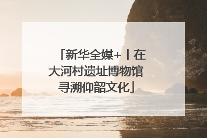 新华全媒+丨在大河村遗址博物馆寻溯仰韶文化