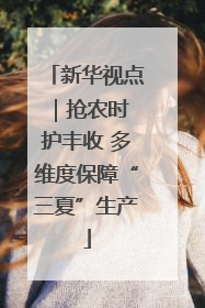 新华视点｜抢农时 护丰收 多维度保障“三夏”生产