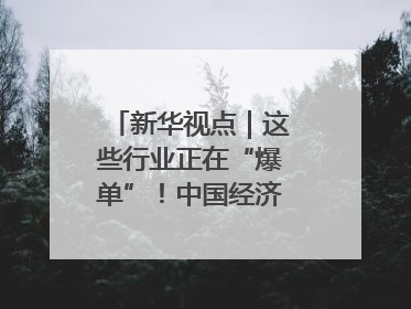 新华视点｜这些行业正在“爆单”！中国经济活力密码
