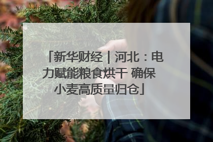 新华财经｜河北：电力赋能粮食烘干 确保小麦高质量归仓