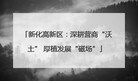 新化高新区：深耕营商“沃土” 厚植发展“磁场”