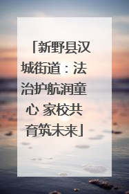 新野县汉城街道：法治护航润童心 家校共育筑未来