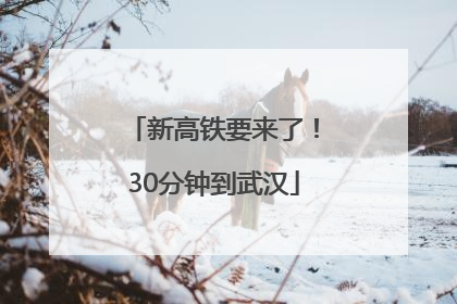 新高铁要来了！30分钟到武汉