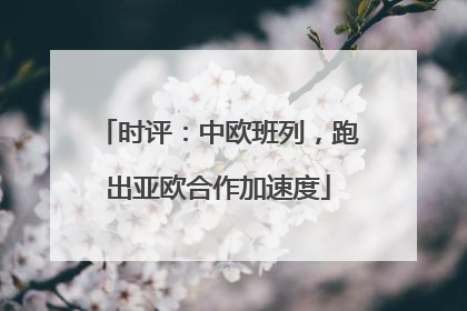 时评：中欧班列，跑出亚欧合作加速度