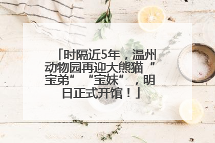 时隔近5年，温州动物园再迎大熊猫“宝弟”“宝妹”，明日正式开馆！