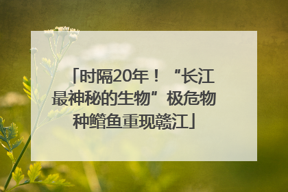 时隔20年！“长江最神秘的生物”极危物种鳤鱼重现赣江