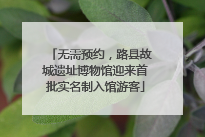 无需预约，路县故城遗址博物馆迎来首批实名制入馆游客