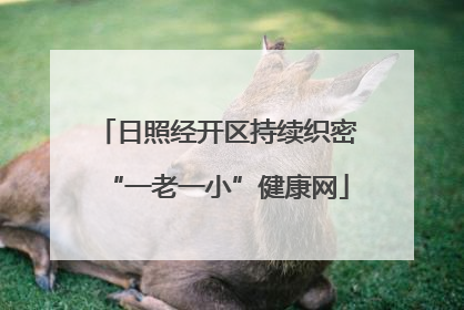 日照经开区持续织密“一老一小”健康网