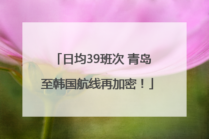 日均39班次 青岛至韩国航线再加密！