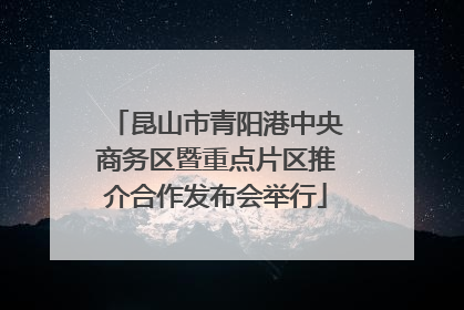 昆山市青阳港中央商务区暨重点片区推介合作发布会举行