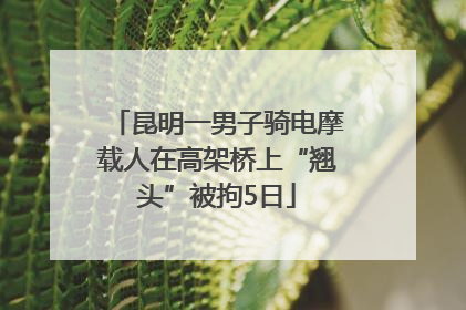 昆明一男子骑电摩载人在高架桥上“翘头”被拘5日