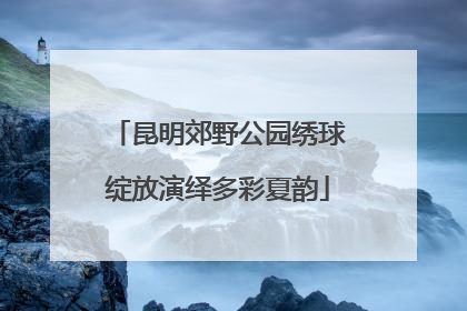 昆明郊野公园绣球绽放演绎多彩夏韵