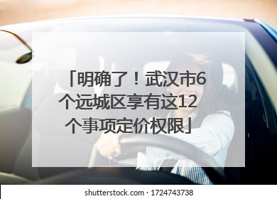 明确了！武汉市6个远城区享有这12个事项定价权限