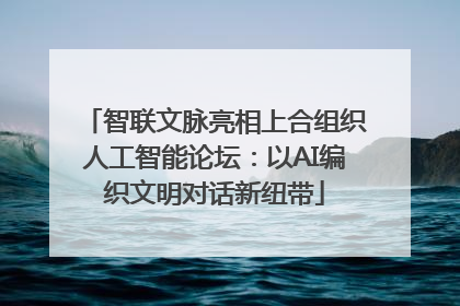 智联文脉亮相上合组织人工智能论坛：以AI编织文明对话新纽带