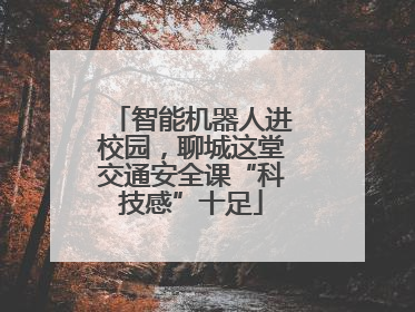 智能机器人进校园，聊城这堂交通安全课“科技感”十足