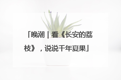 晚潮｜看《长安的荔枝》，说说千年夏果