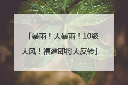 暴雨！大暴雨！10级大风！福建即将大反转