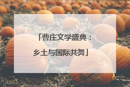 曹庄文学盛典：乡土与国际共舞