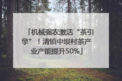 机械强农激活“茶引擎”！清镇中坝村茶产业产能提升50%