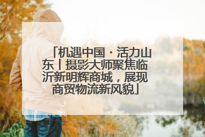 机遇中国・活力山东丨摄影大师聚焦临沂新明辉商城，展现商贸物流新风貌