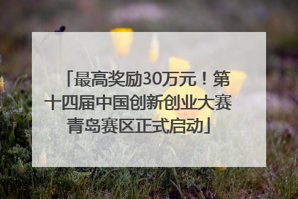 最高奖励30万元！第十四届中国创新创业大赛青岛赛区正式启动