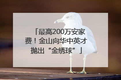 最高200万安家费！金山向华中英才抛出“金绣球”